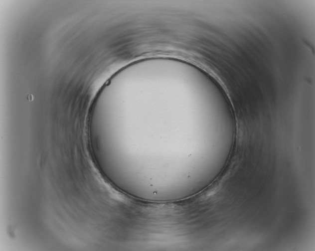 X0000103171533200809051711