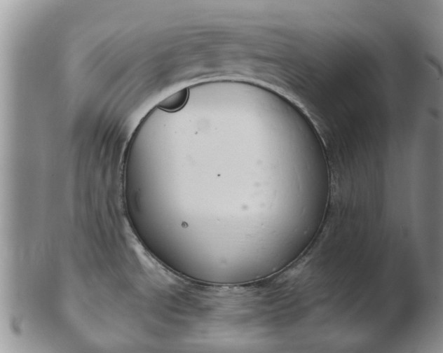 X0000103171534200809051711