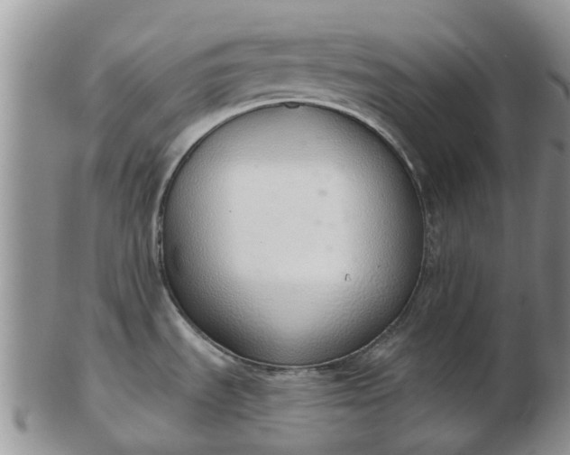 X0000103171535200809051711