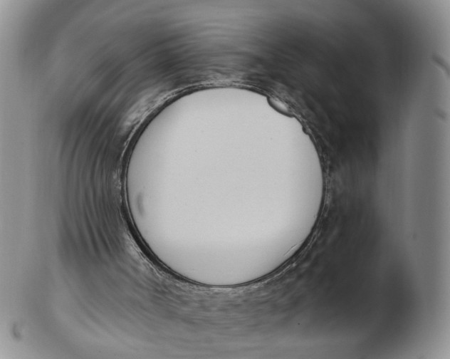 X0000103170002200809121911