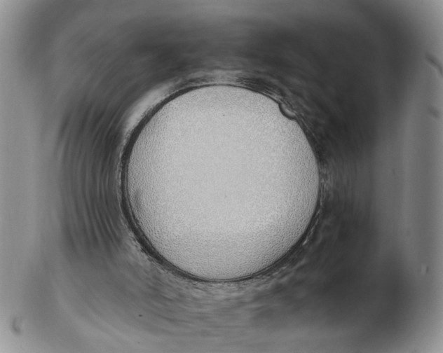 X0000103170006200809121911