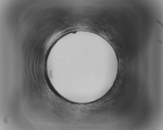 X0000103170007200809121911