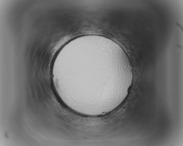 X0000103170008200809121911