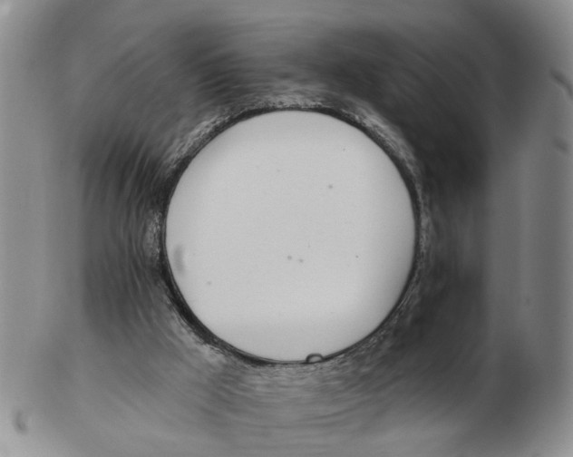 X0000103170009200809121911