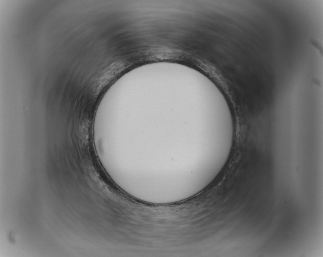 X0000103170010200809121911