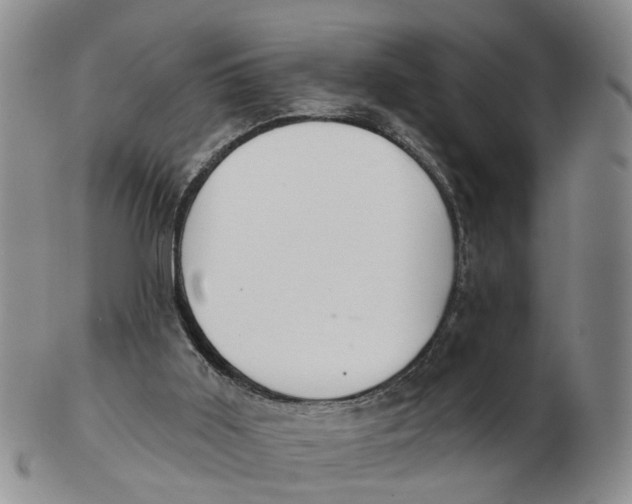 X0000103170011200809121911