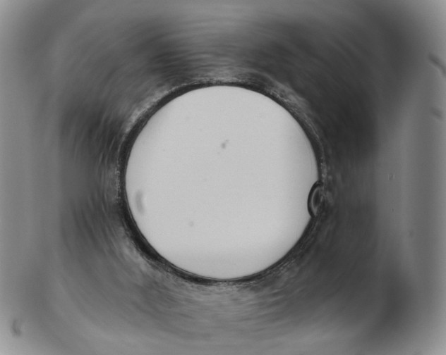 X0000103170012200809121911