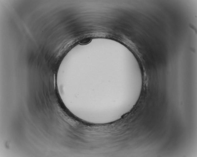 X0000103170013200809121911