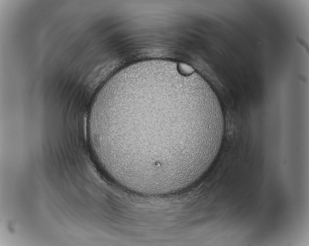 X0000103170014200809121911