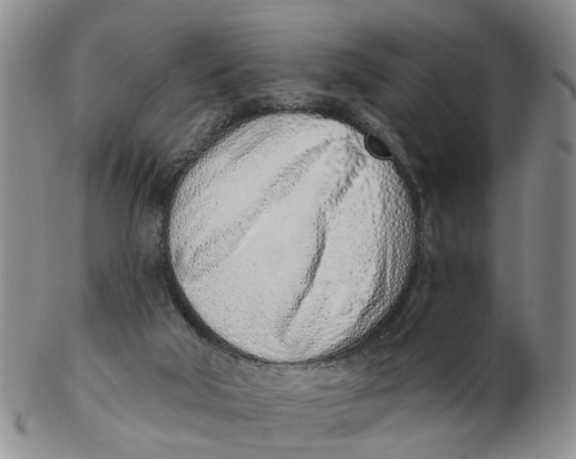 X0000103170018200809121910