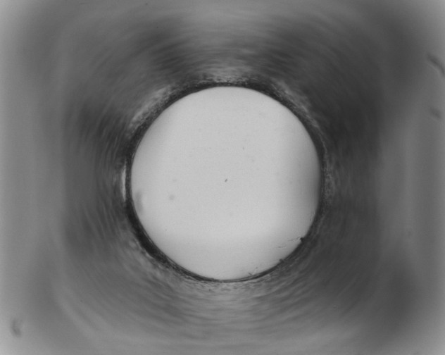 X0000103170019200809121910