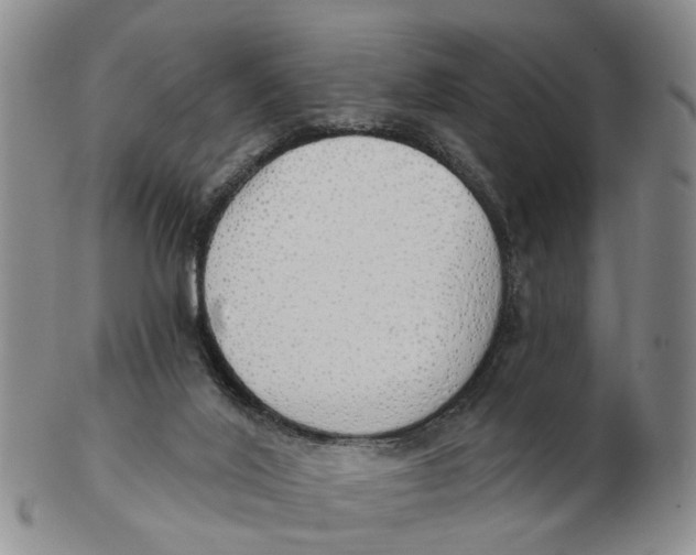 X0000103170020200809121910