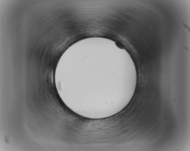 X0000103170021200809121910