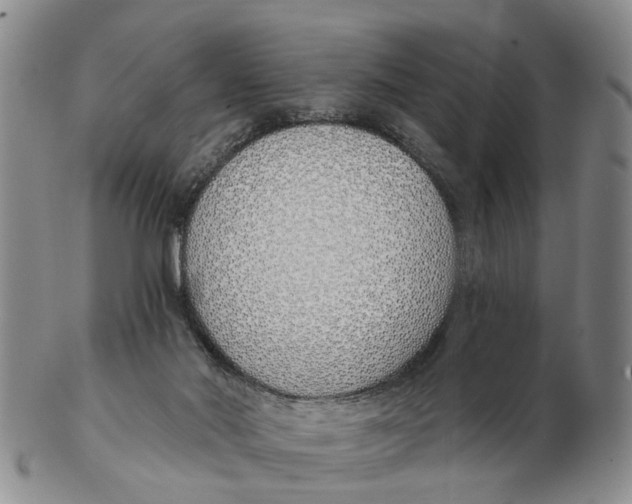 X0000103170022200809121910