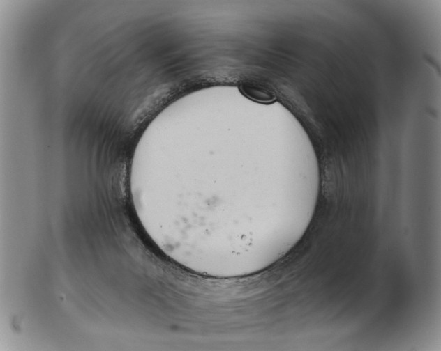 X0000103170023200809121910