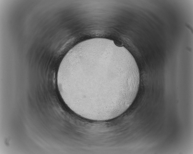 X0000103170024200809121910