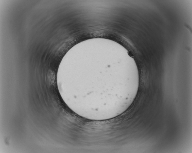 X0000103170025200809121910