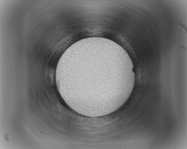 X0000103170026200809121910