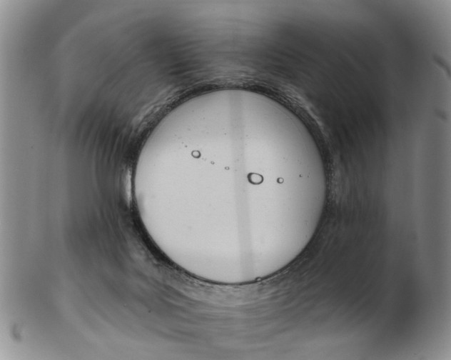 X0000103170027200809121910