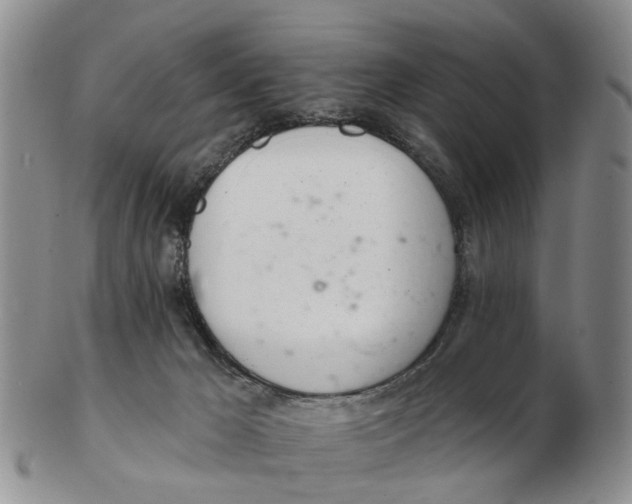 X0000103170029200809121910