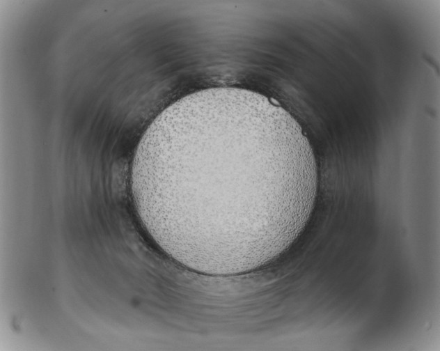 X0000103170030200809121910