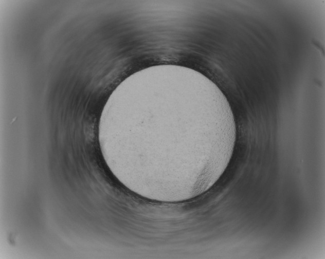 X0000103170032200809121910