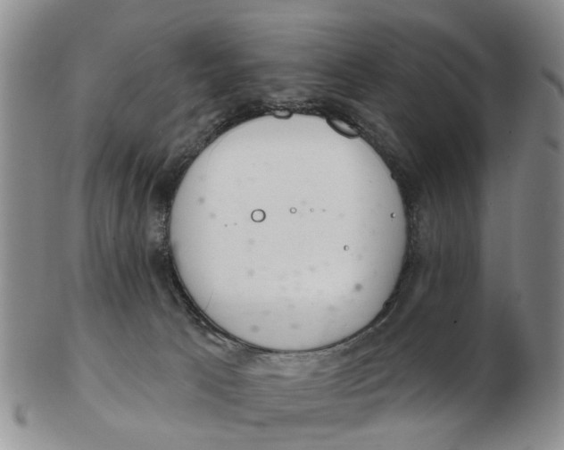 X0000103170033200809121910