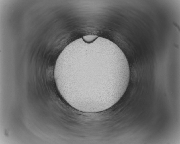 X0000103170034200809121910