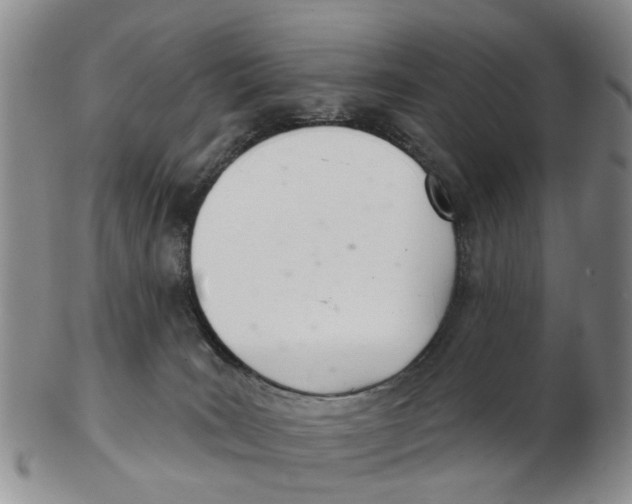 X0000103170035200809121910