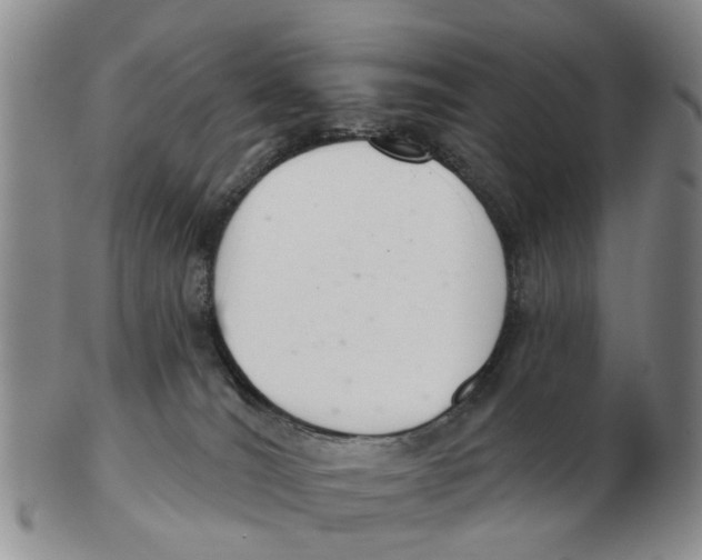 X0000103170036200809121910