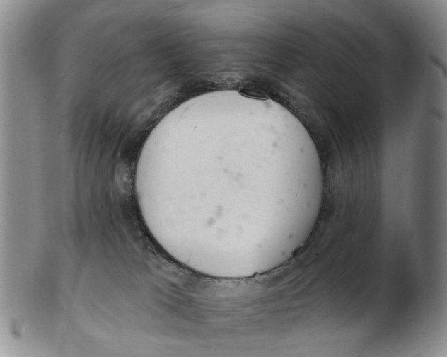 X0000103170037200809121910