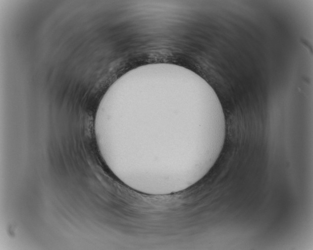 X0000103170038200809121910