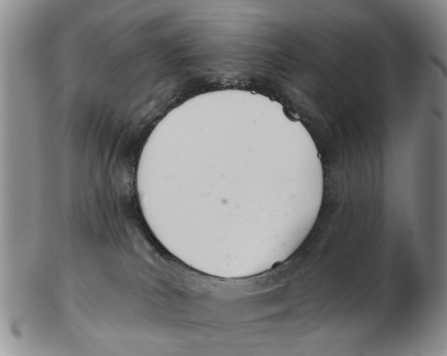 X0000103170039200809121910