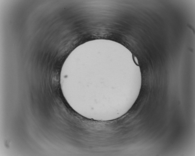 X0000103170040200809121910