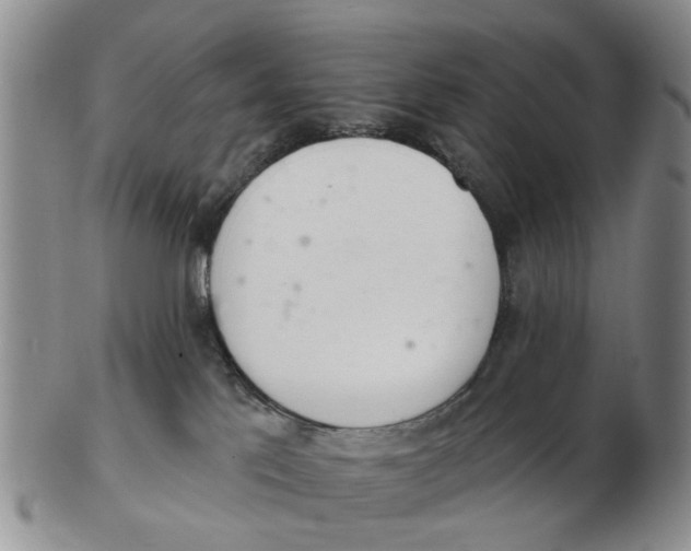 X0000103170041200809121910