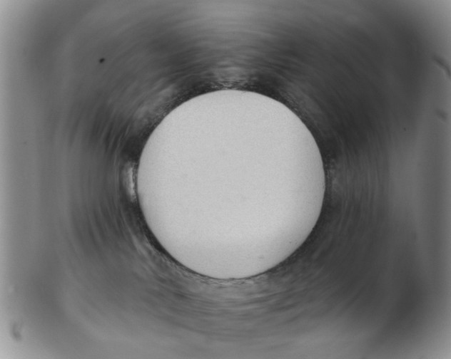 X0000103170042200809121910