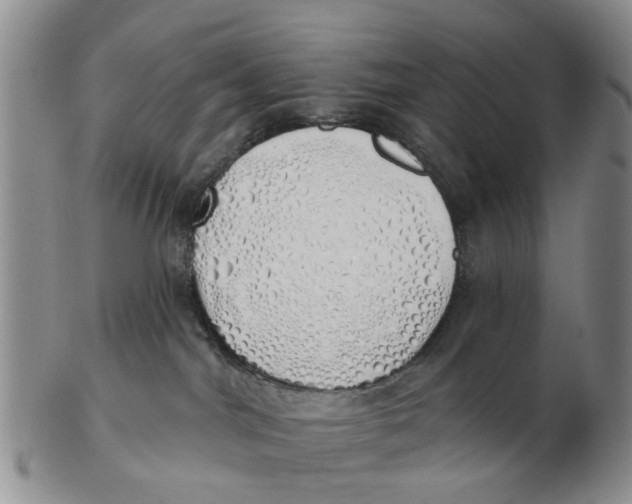 X0000103170044200809121910