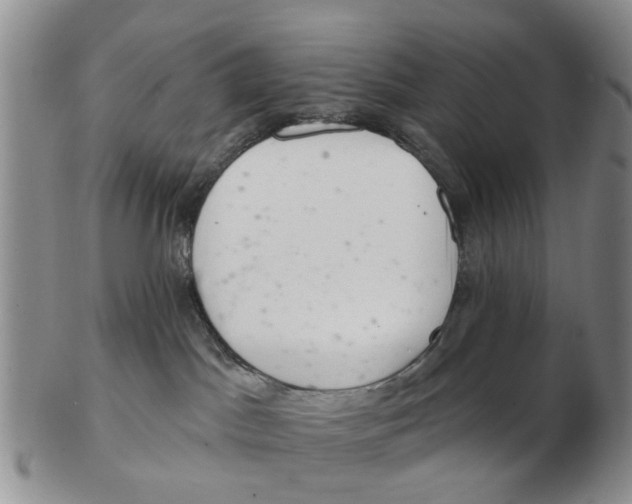 X0000103170045200809121910