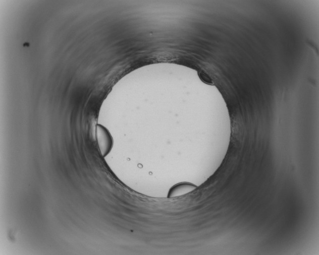 X0000103170046200809121910