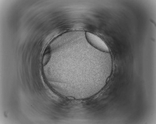 X0000103170049200809121909