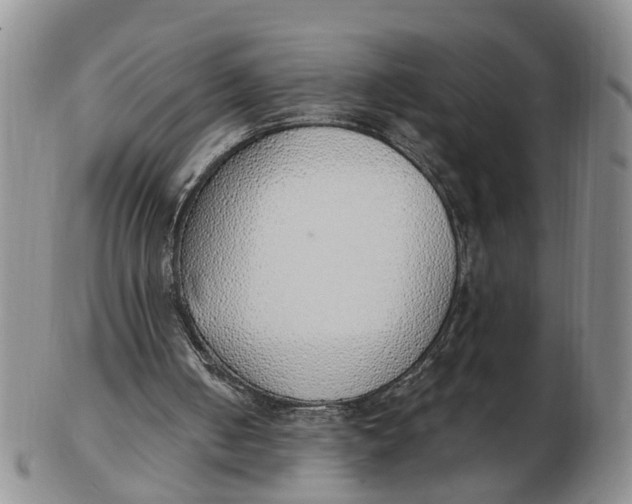 X0000103170050200809121909