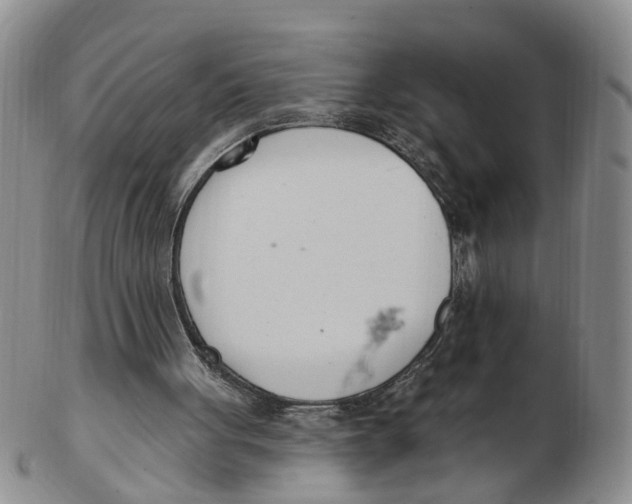 X0000103170051200809121909