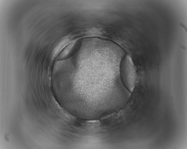 X0000103170053200809121909