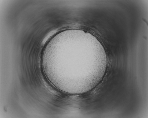 X0000103170054200809121909