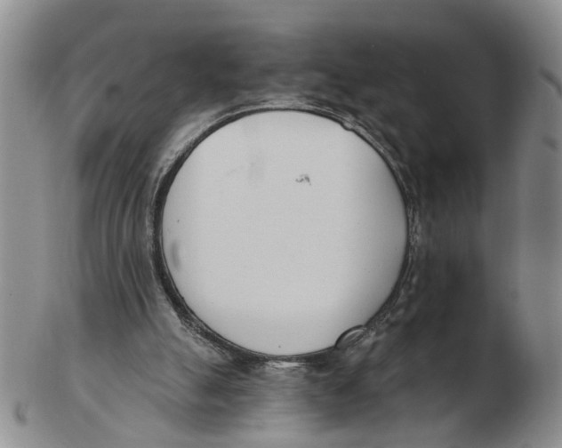 X0000103170055200809121909