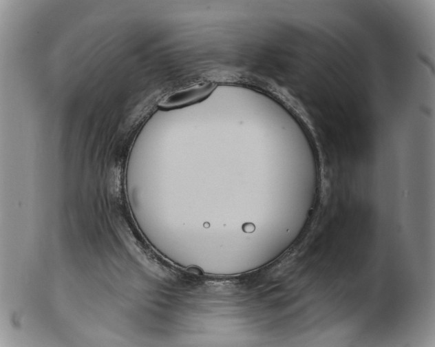 X0000103170057200809121910