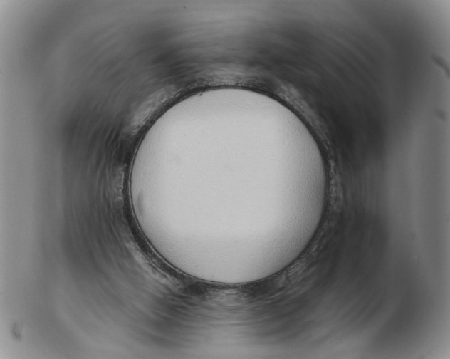 X0000103170058200809121910