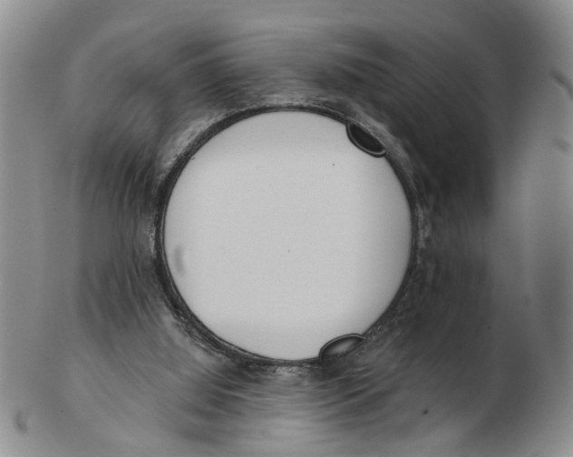 X0000103170060200809121910