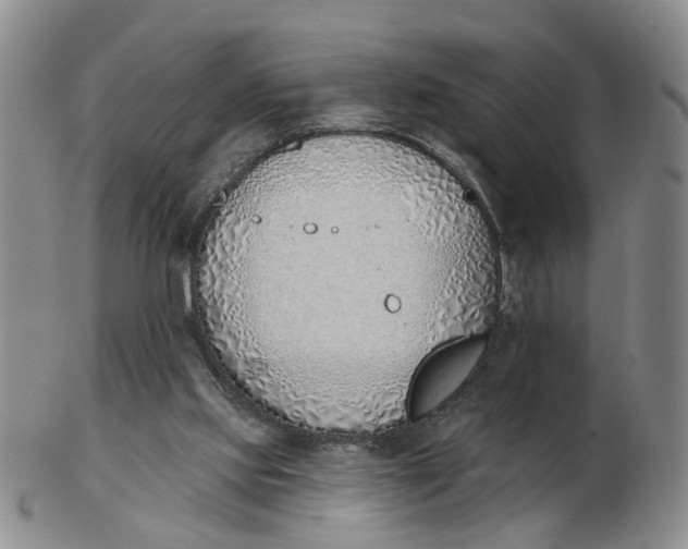 X0000103170061200809121910