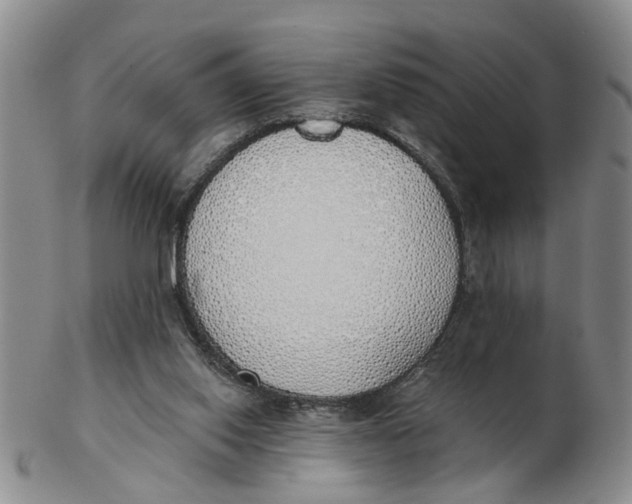 X0000103170062200809121910